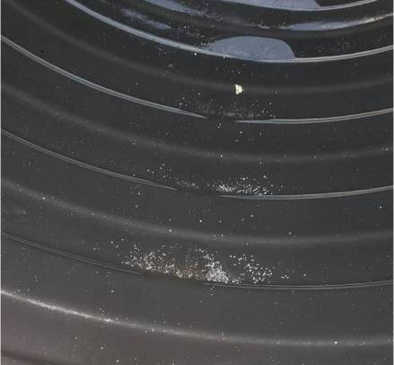 Sediments in perprocessing holding tank